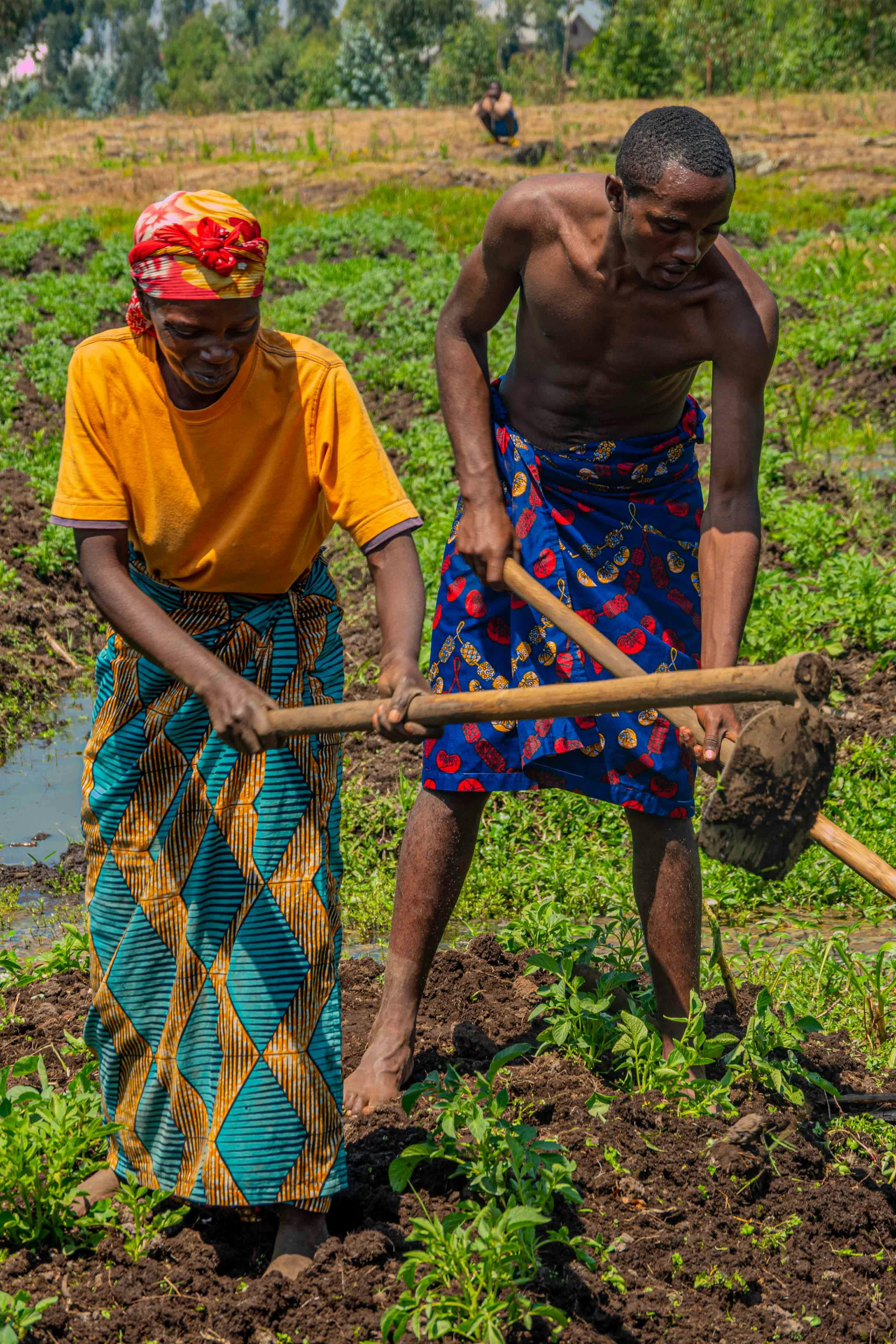 Rural Farmers Program